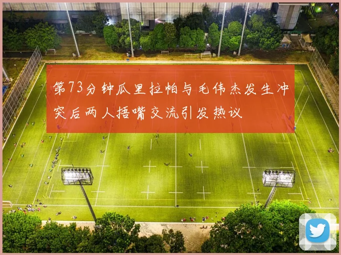 第73分钟瓜里拉帕与毛伟杰发生冲突后两人捂嘴交流引发热议