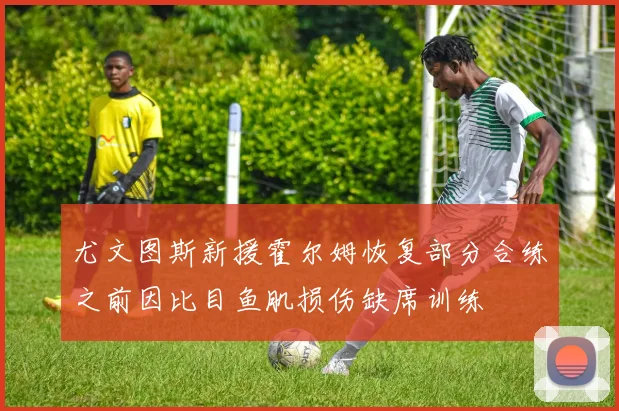 尤文图斯新援霍尔姆恢复部分合练之前因比目鱼肌损伤缺席训练