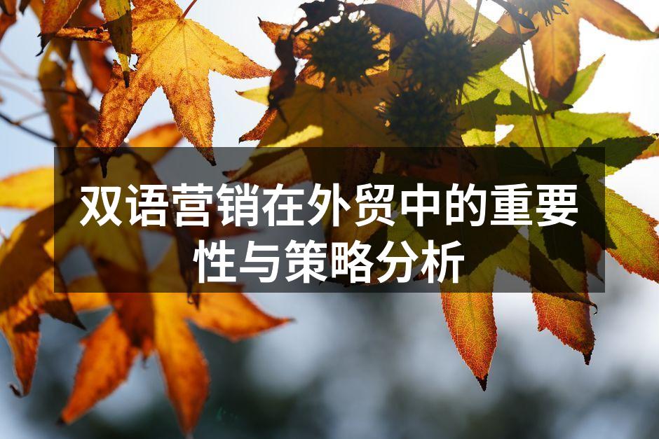 双语营销在外贸中的重要性与策略分析