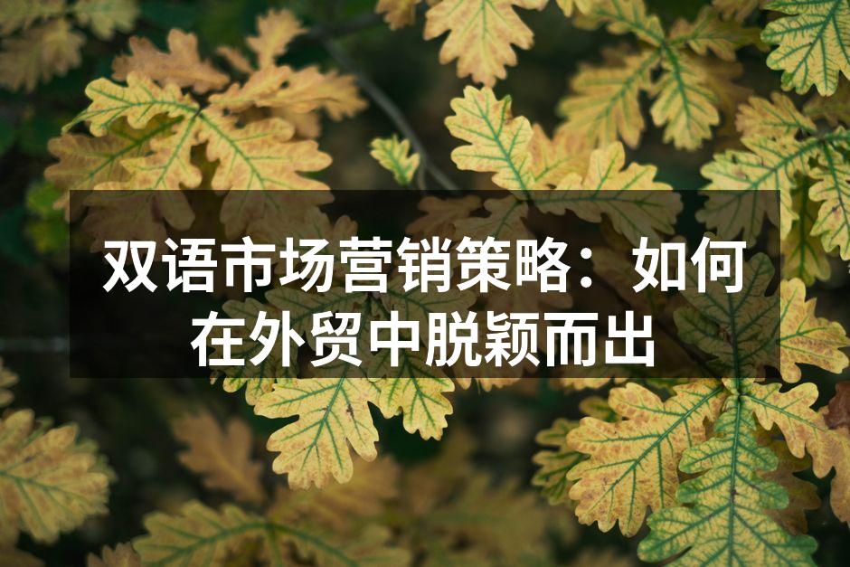 双语营销,拓展全球市场