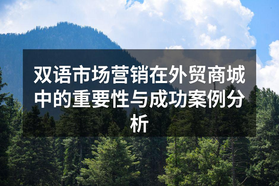 双语市场营销在外贸商城中的重要性与成功案例分析