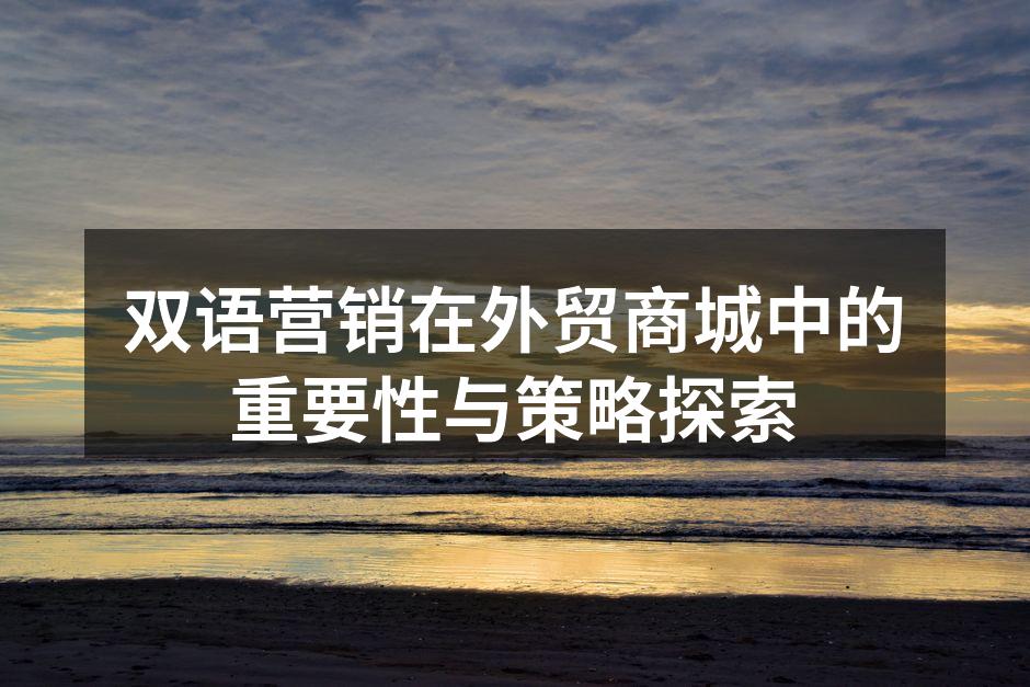 双语营销在外贸商城中的重要性与策略探索