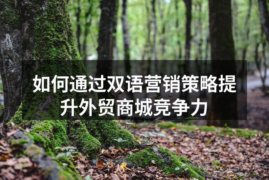 如何通过双语营销策略提升外贸商城竞争力