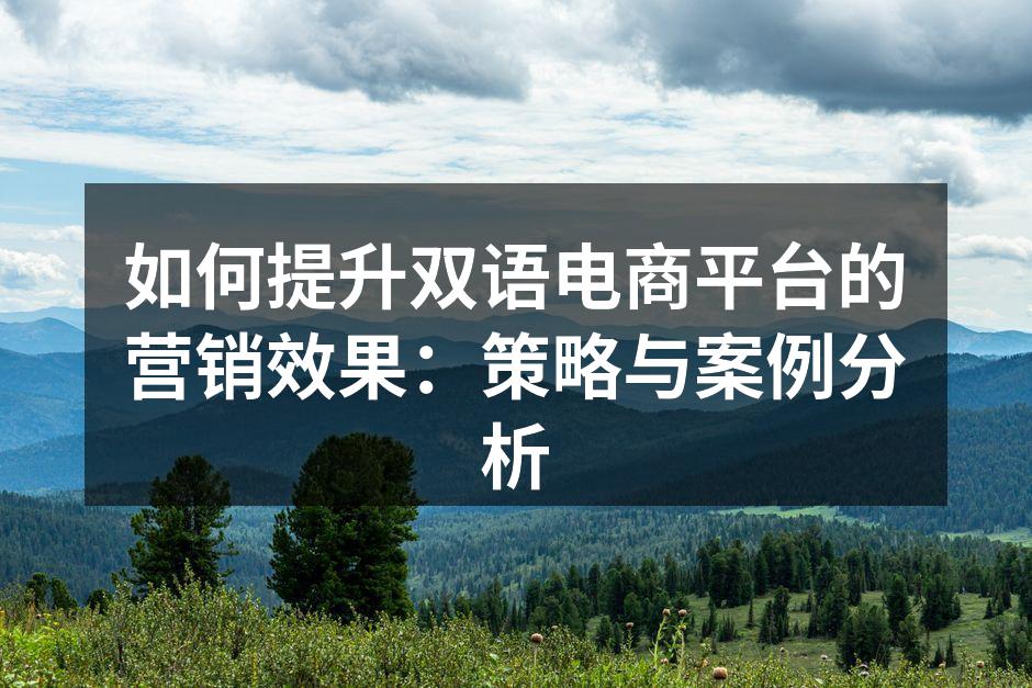 如何提升双语电商平台的营销效果：策略与案例分析